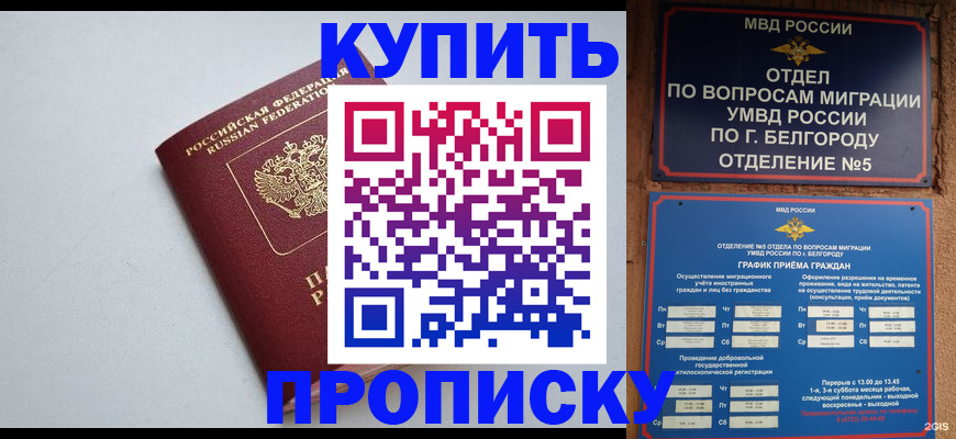 прописка регистрация в Шебекино